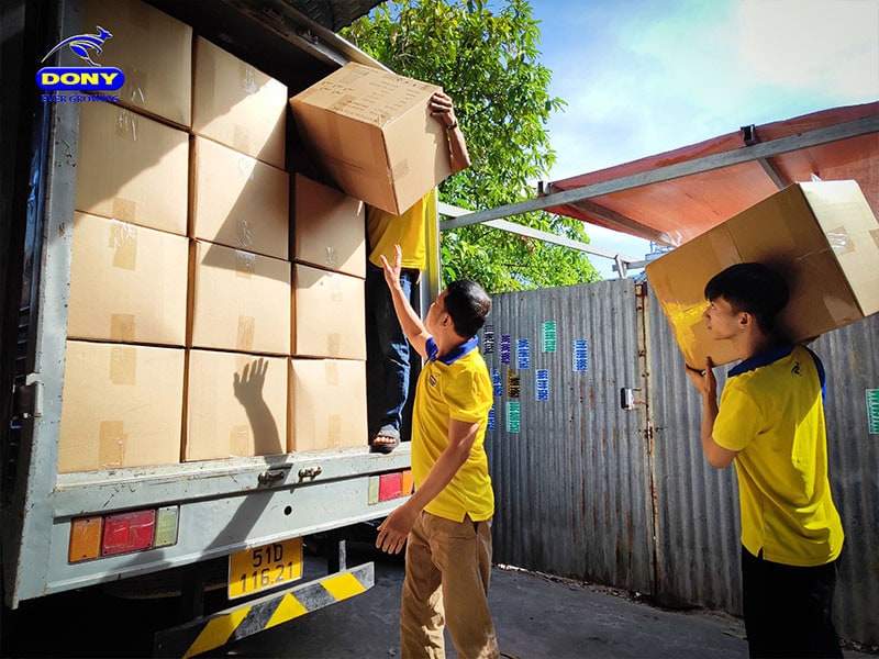 dat may dong phuc cong ty