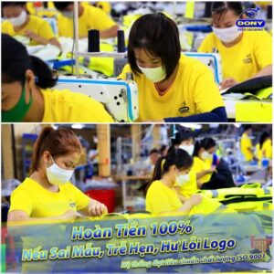  Cam kết của DONY