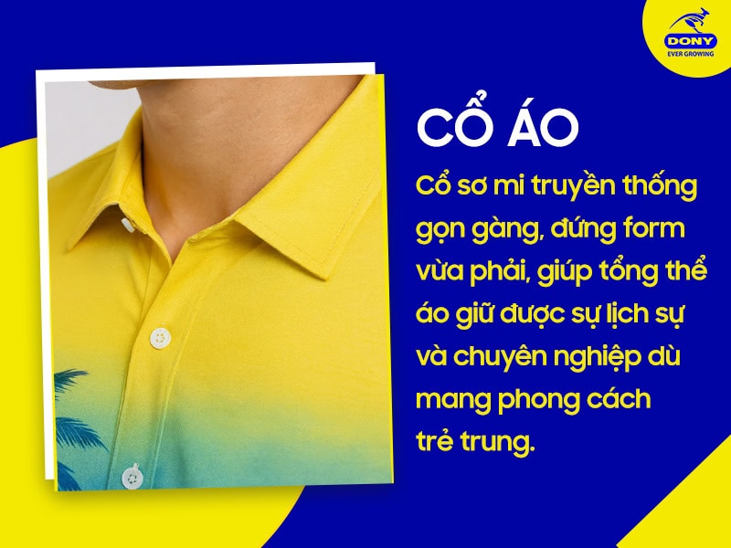 co ao so mi team building tay ngan